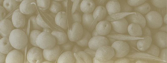 Ionian Gold extra virgin olive oil is high in polyphenols.
