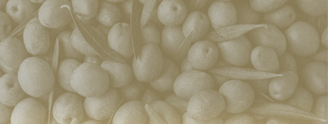 Ionian Gold extra virgin olive oil is high in polyphenols.