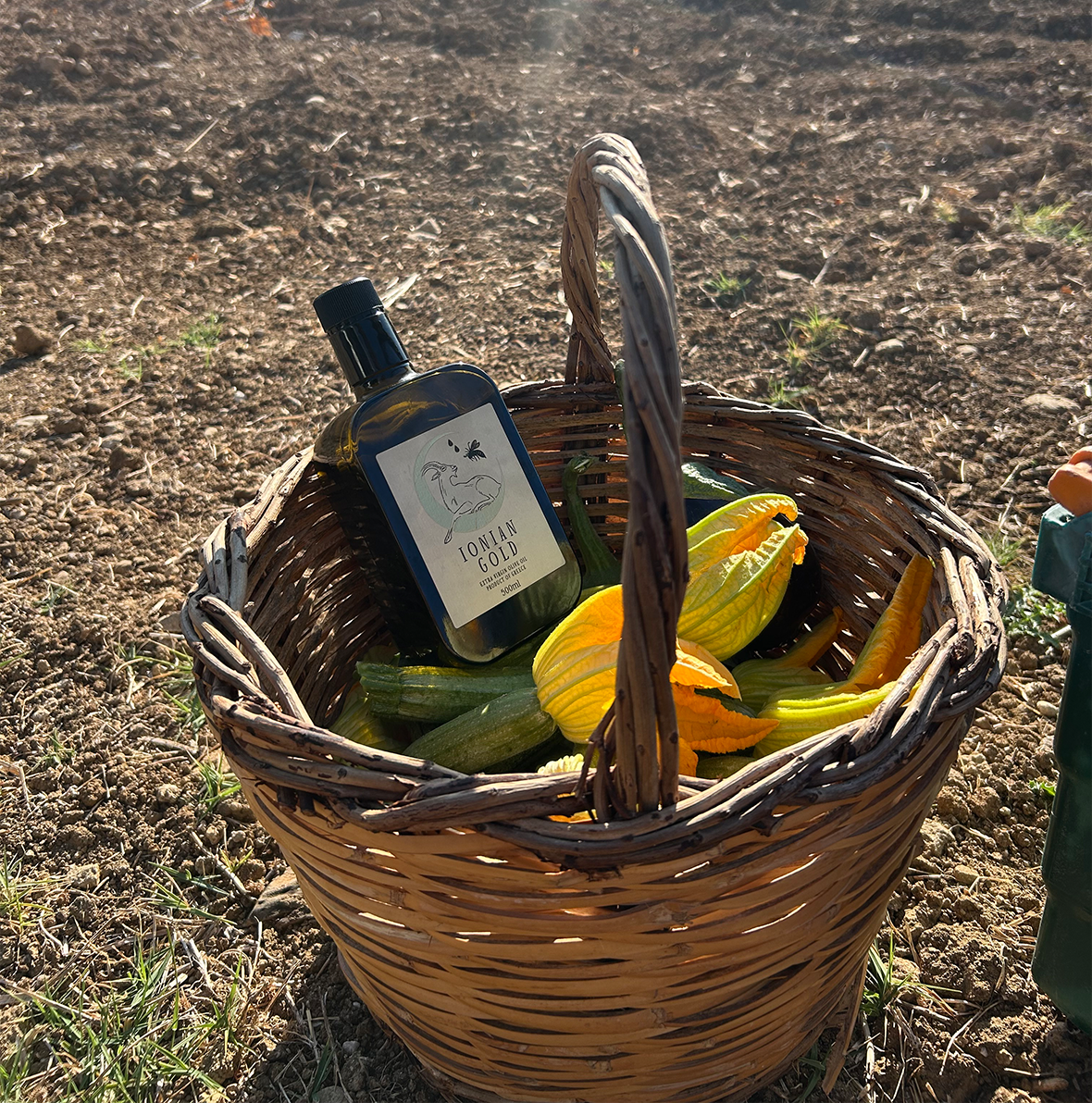 A bottle of Ionian Gold olive oil in a wicker basket